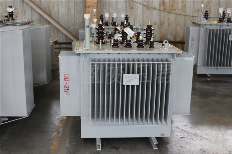 湖南S20-800kVA/10kV/0.4kV变压器